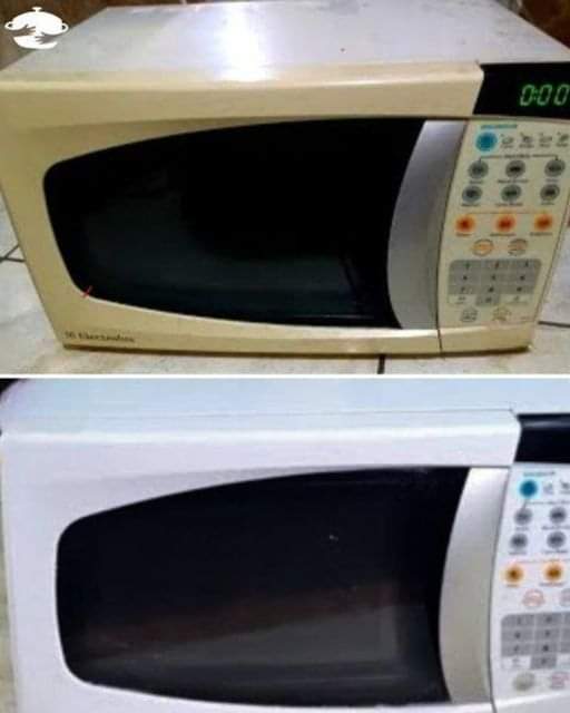 465004807 1768943497200917 7749397606475702255 N (2)